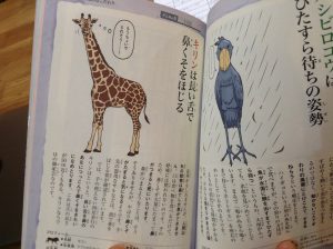 ざんねんな生き物図鑑